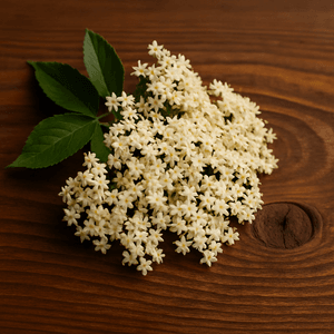 Hovedbilde Elderflower - INW Series