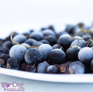 Hovedbilde Blackcurrant - WF Series