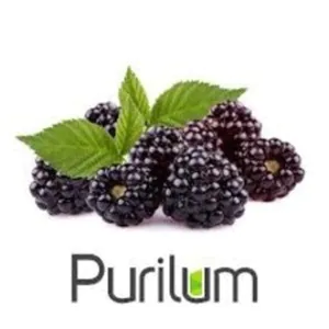 Hovedbilde Boysenberry - PUR Series