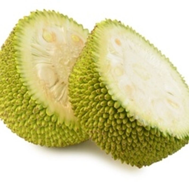Jackfruit - TFA Series